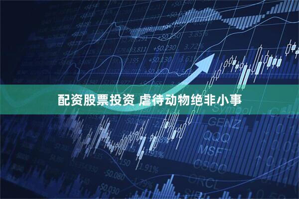 配资股票投资 虐待动物绝非小事